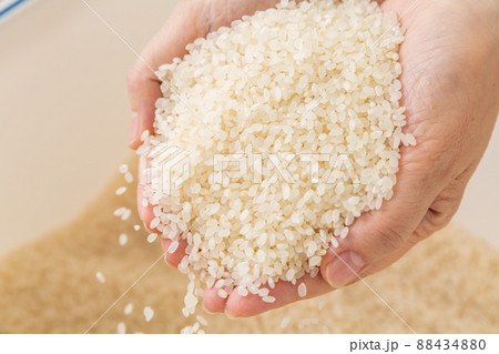 お米を持つミドル女性の手 88434880