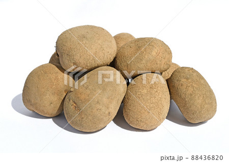 じゃがいも（こがね丸） 88436820