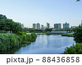 公園 湖 空 88436858