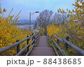 風景 公園 道 88438685
