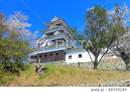 【愛媛県】桜咲く春の大洲城 88439284