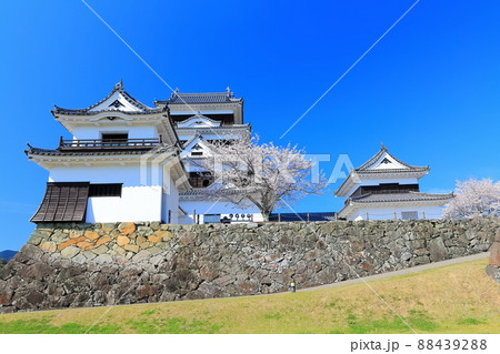 【愛媛県】桜咲く春の大洲城 88439288