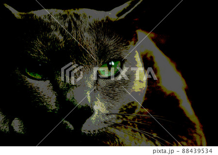 猫　ロシアンブルー 88439534