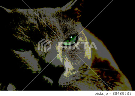 猫　ロシアンブルー 88439535