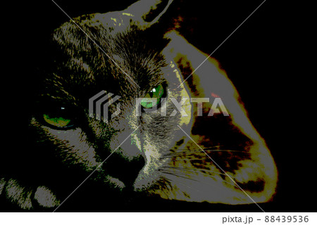 猫　ロシアンブルー 88439536