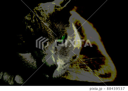 猫　ロシアンブルー 88439537