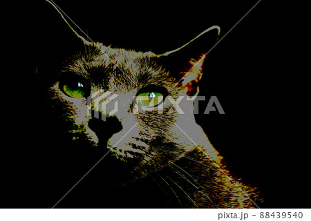 猫　ロシアンブルー 88439540