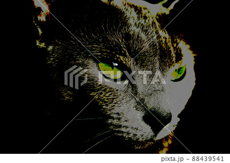 猫　ロシアンブルー 88439541