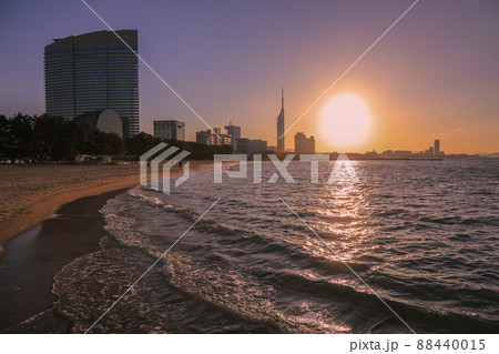 ももち夕景 ももち夕景 88440015