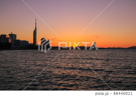 ももち夕景 ももち夕景 88440021