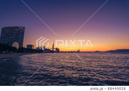 ももち夕景 88440026