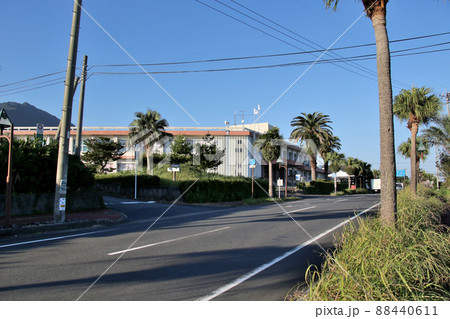 鹿児島県/熊毛支庁　屋久島合同庁舎　県道77号線前からナツメヤシ越しに望む 88440611