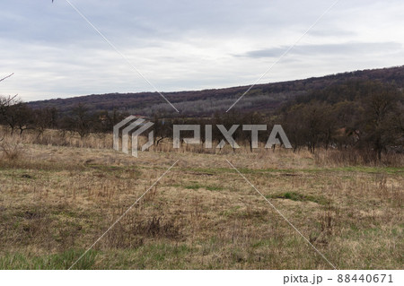 Amazing view of the meadow and forest between hills. Early spring. Zakarpatska Oblast 88440671