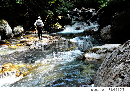 木曽川支流正沢川、幸ノ川の渓流釣り 木曽川支流正沢川、幸ノ川の渓流釣り 88441254