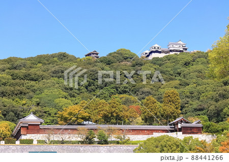 【愛媛県】城山公園から見た秋の松山城(現存12天守) 【愛媛県】城山公園から見た秋の松山城(現存12天守) 88441266