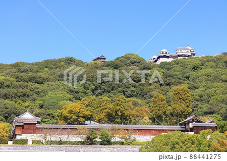 【愛媛県】城山公園から見た秋の松山城（現存12天守） 88441275