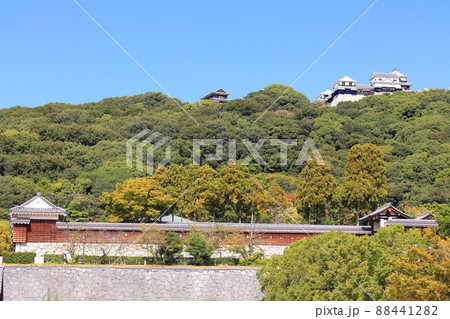 【愛媛県】城山公園から見た秋の松山城（現存12天守） 88441282