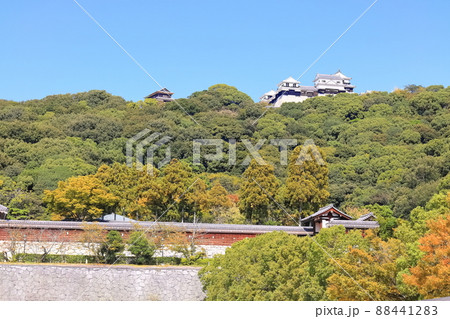 【愛媛県】城山公園から見た秋の松山城(現存12天守) 【愛媛県】城山公園から見た秋の松山城(現存12天守) 88441283