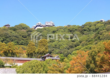 【愛媛県】城山公園から見た秋の松山城(現存12天守) 【愛媛県】城山公園から見た秋の松山城(現存12天守) 88441284