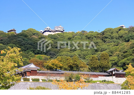 【愛媛県】城山公園から見た秋の松山城(現存12天守) 【愛媛県】城山公園から見た秋の松山城(現存12天守) 88441285