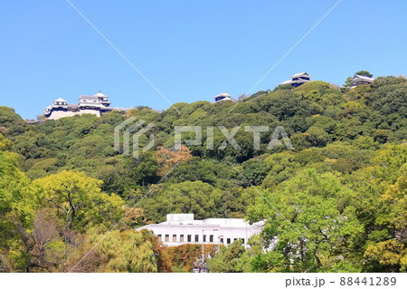 【愛媛県】城山公園から見た秋の松山城と愛媛県庁 【愛媛県】城山公園から見た秋の松山城と愛媛県庁 88441289
