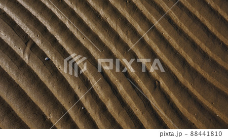 Stripes of fine sea sand on the coast. Natural background from the sand of the sea. 88441810