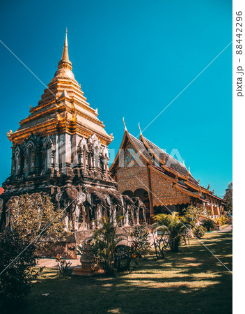 Wat Chiang Man in Chiang Mai Thailand 88442296