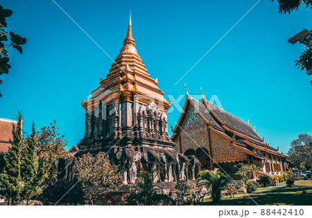 Wat Chiang Man in Chiang Mai Thailand 88442410