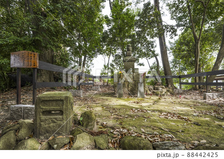 東林山大泉寺(岡崎市) 東林山大泉寺(岡崎市) 88442425