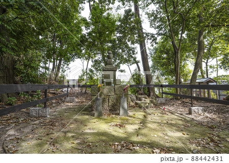 東林山大泉寺（岡崎市） 88442431