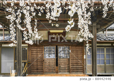 東林山大泉寺（岡崎市） 88442446