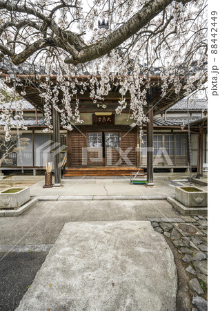 東林山大泉寺(岡崎市) 東林山大泉寺(岡崎市) 88442449
