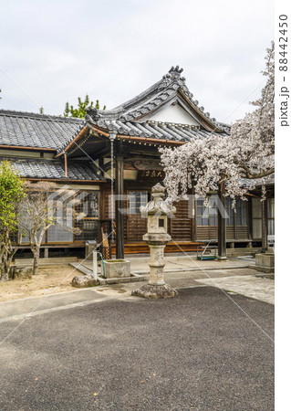 東林山大泉寺(岡崎市) 東林山大泉寺(岡崎市) 88442450