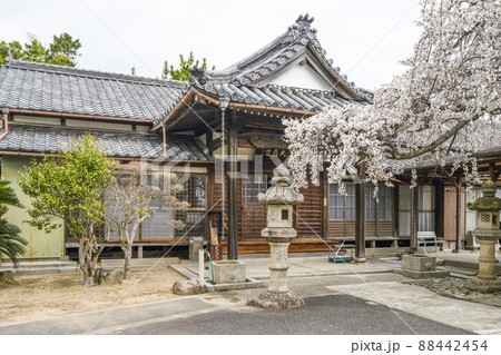 東林山大泉寺(岡崎市) 東林山大泉寺(岡崎市) 88442454