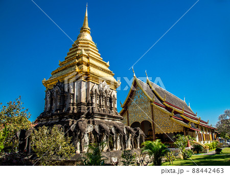 Wat Chiang Man in Chiang Mai Thailand 88442463