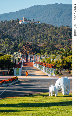 Royal Park Rajapruek, botanical garden and pavilion in Chiang Mai, Thailand Royal Park Rajapruek, botanical garden and pavilion in Chiang Mai, Thailand 88442663