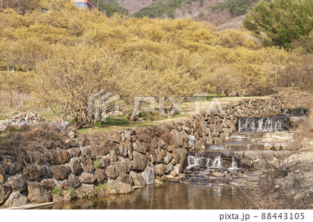 滝 谷 求礼郡 88443105