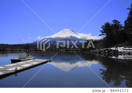 4月　富士河口湖町226精進湖の逆さ富士と雪景色 88443172