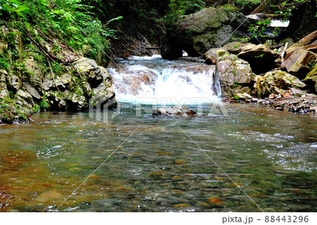 竜喰谷との合流点付近の一ノ瀬川 88443296