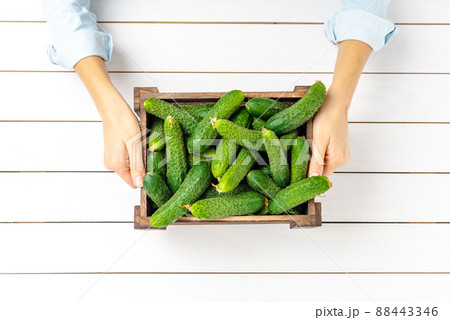 Overhead shot of woman hands holding wooden box with cucumbers Overhead shot of woman hands holding wooden box with cucumbers 88443346