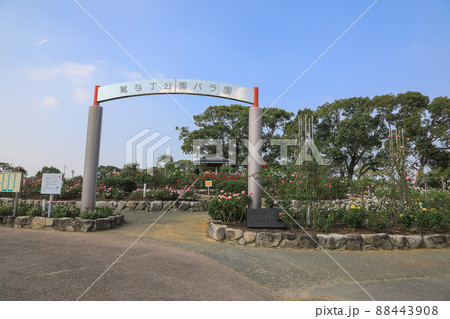 駕与丁公園バラ園 88443908
