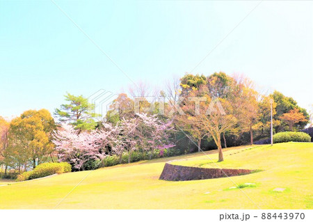 光明池周辺春の風景 光明池周辺春の風景 88443970