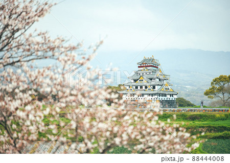 『桜』原城跡 原城一揆まつり一夜城 『桜』原城跡 原城一揆まつり一夜城 88444008