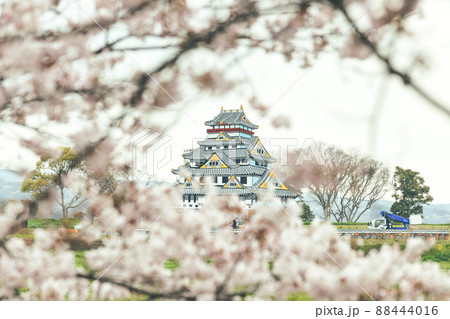 『桜』原城跡 原城一揆まつり一夜城 『桜』原城跡 原城一揆まつり一夜城 88444016