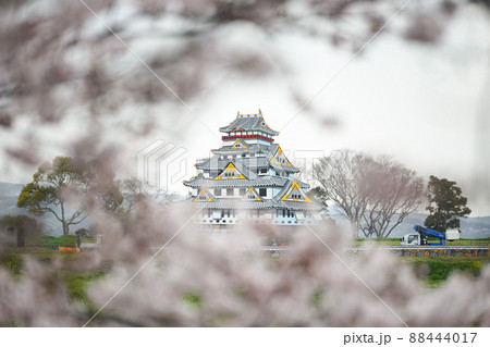 『桜』原城跡 原城一揆まつり一夜城 『桜』原城跡 原城一揆まつり一夜城 88444017