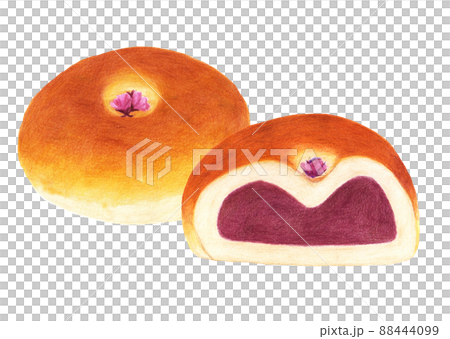 桜の塩漬け付きあんパンイラスト 88444099