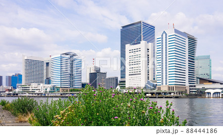 豊海水産埠頭から都心のビル群（竹芝桟橋） 88444186