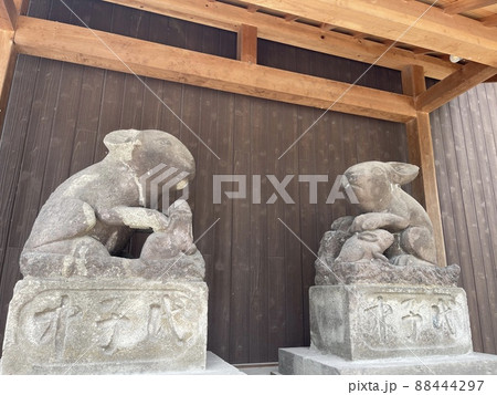 調神社の先代うさぎ 88444297