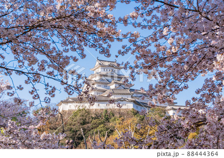 （兵庫県）世界遺産・姫路城　シロトピア記念公園からの眺め 88444364