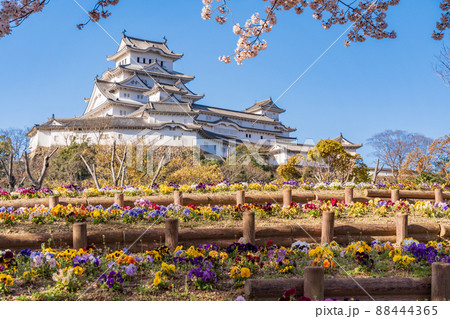 (兵庫県)世界遺産・姫路城 シロトピア記念公園からの眺め (兵庫県)世界遺産・姫路城 シロトピア記念公園からの眺め 88444365